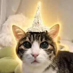 $tinfoilcat token logo
