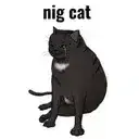 NIGCAT