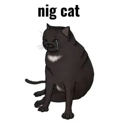 NIGCAT