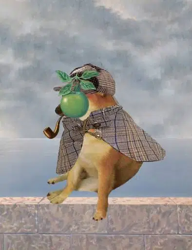 PipeDog