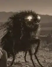 FLY