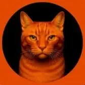 BILLI