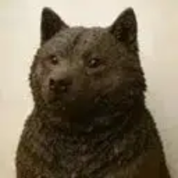 Dogshit