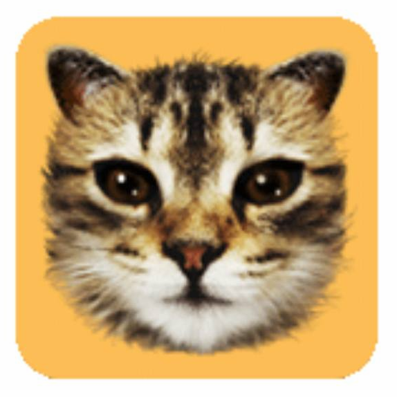 #CAT