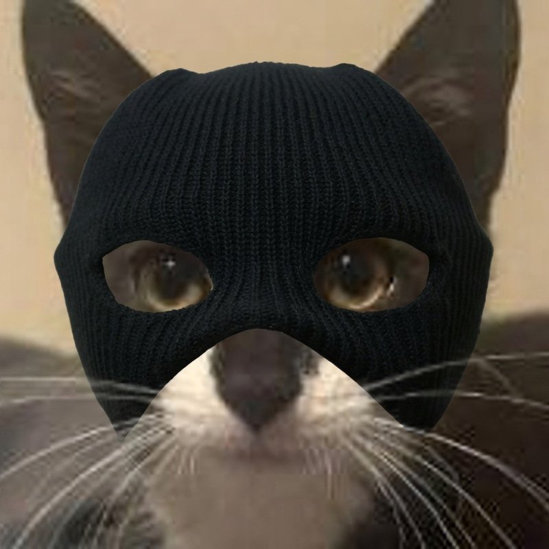 Magnolia  — catwifmask Solana token traded by KOLs