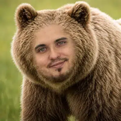 BEARFIELD