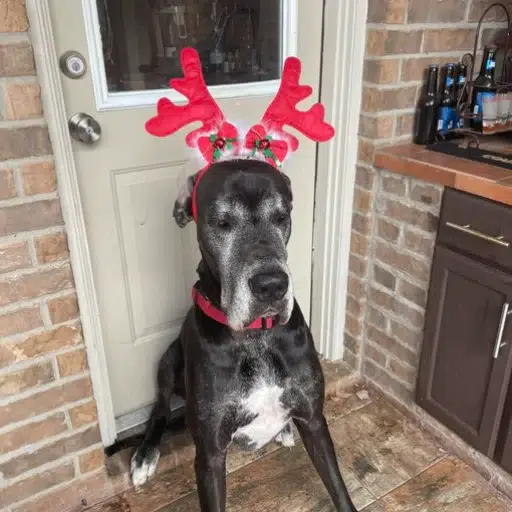 Max