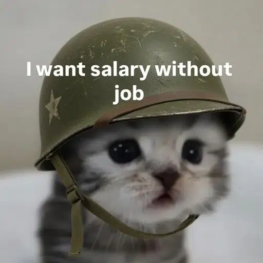 trenchcat