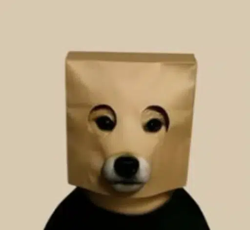 INUCOGNITO