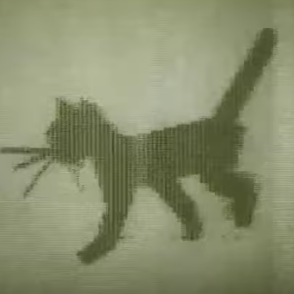KITTY