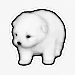 perro