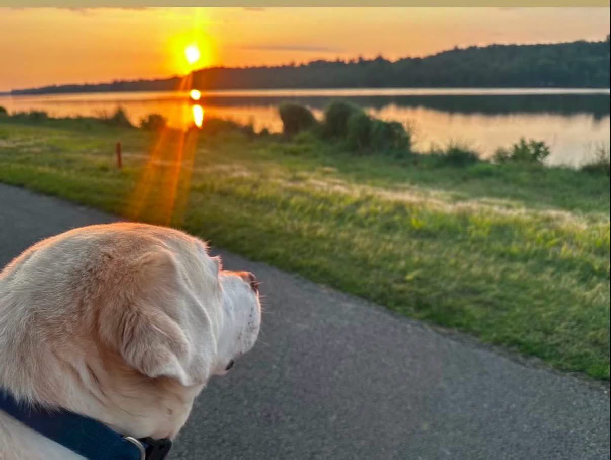 PEACEDOG