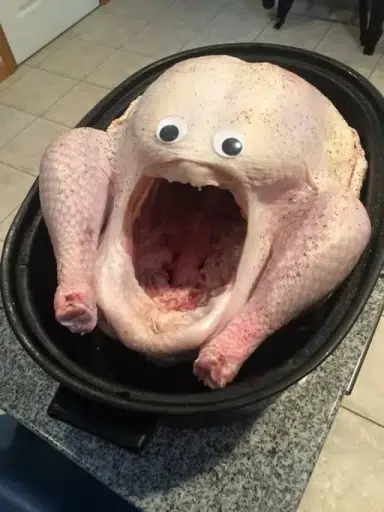 POPCHICKEN