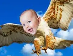 FBE