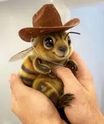 BNUT