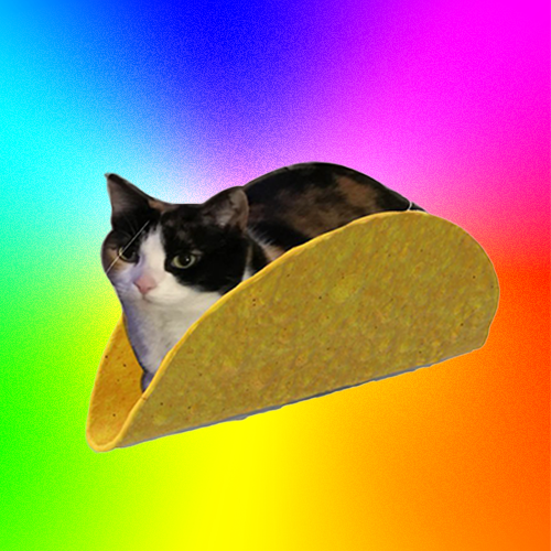 tacocat