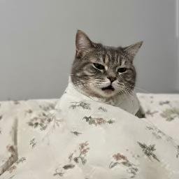 GOONCAT logo