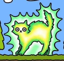 raycat