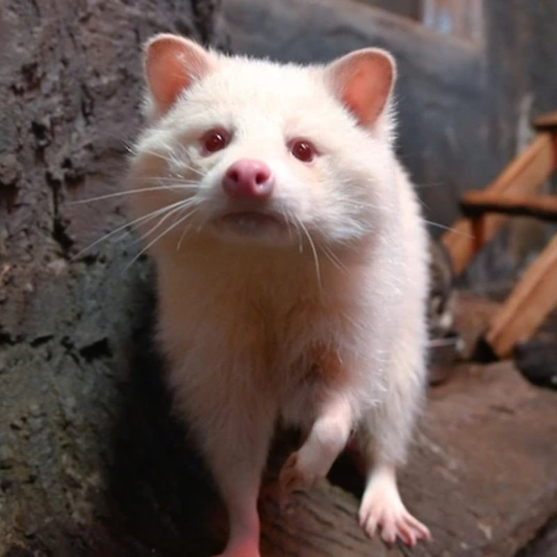 CASPER