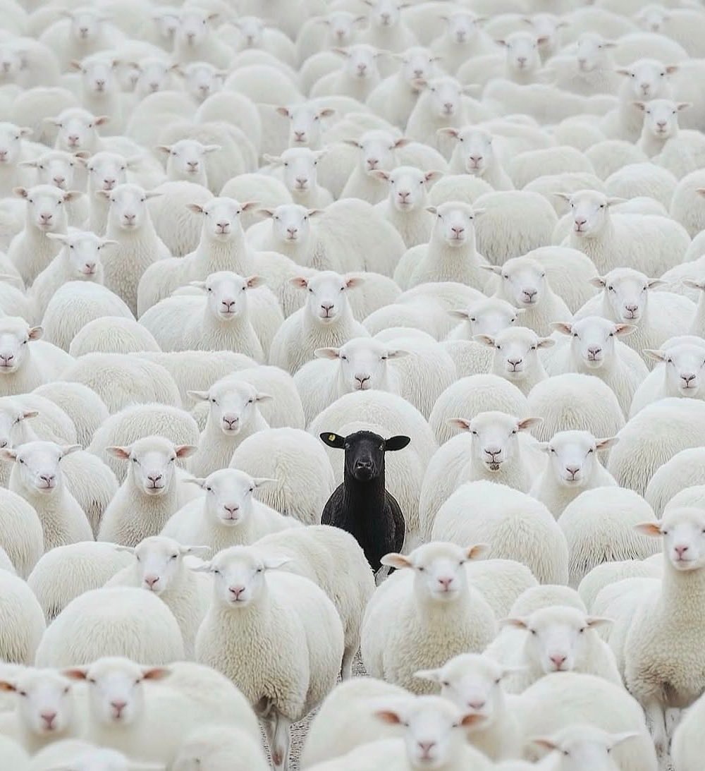 ANOMALY