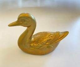 DUCK