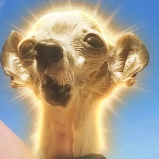 Pepe