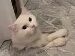 FLUFFY