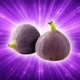 2FIGS