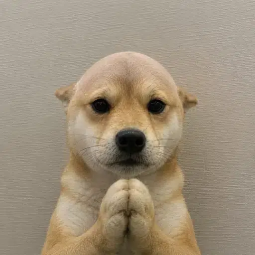 wifout