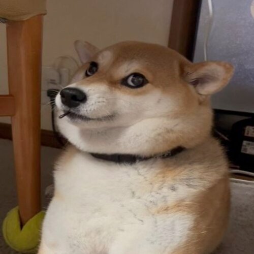 Yuki