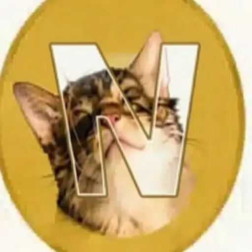 NYANCOIN