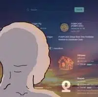 Memecoins