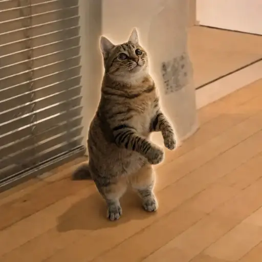 KI