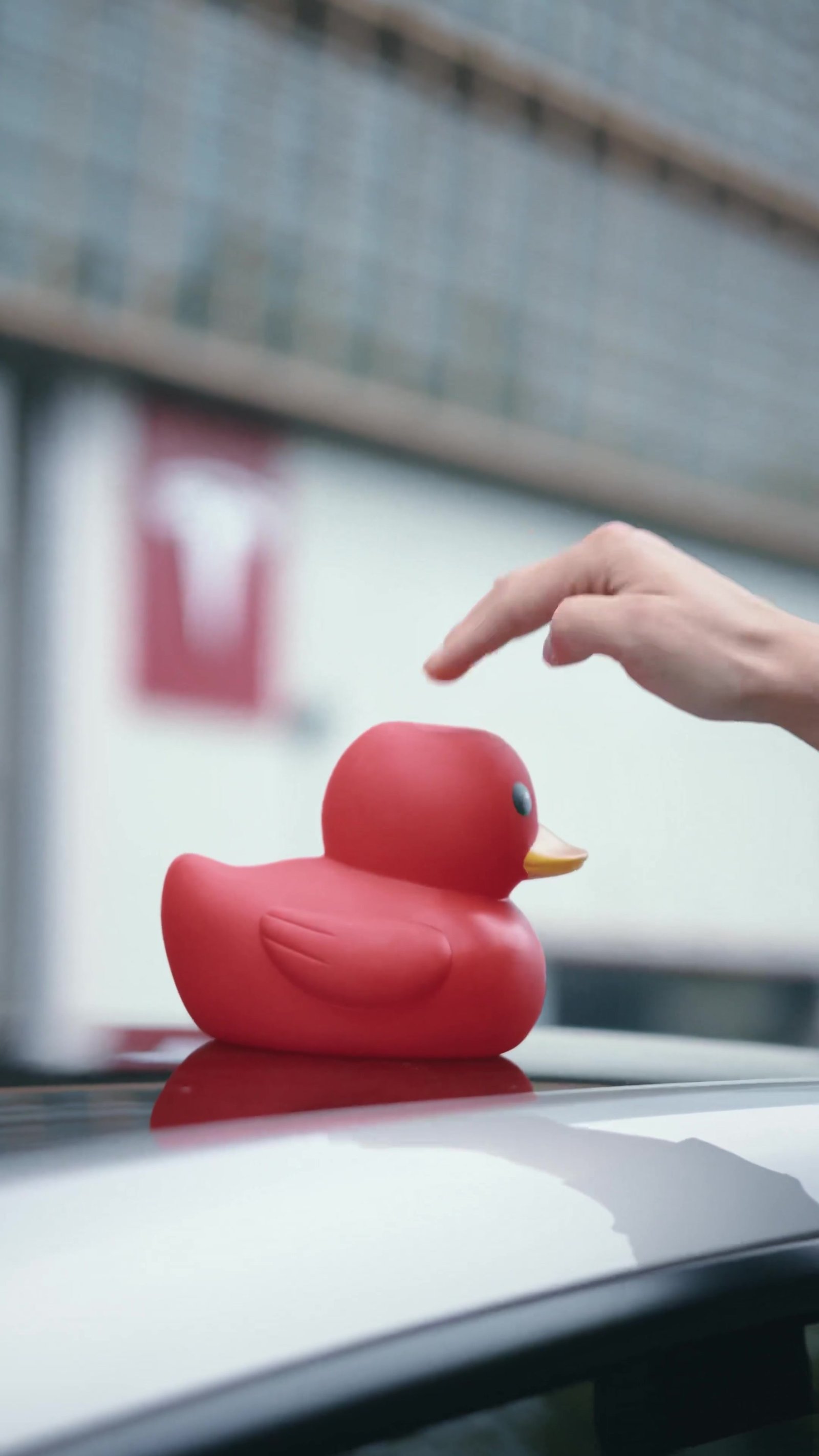 Quack