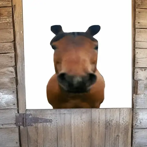 Stable