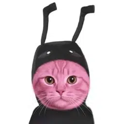 ANTCAT