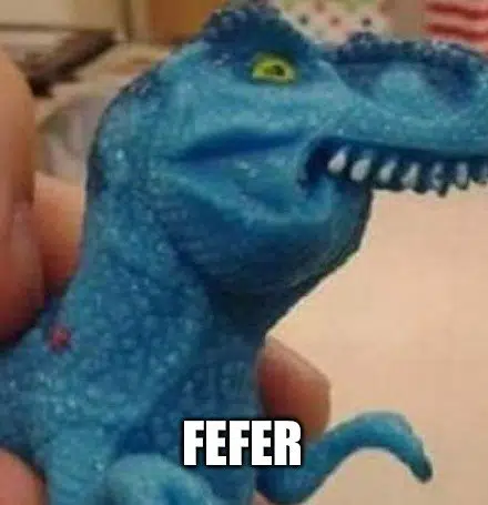FEFER