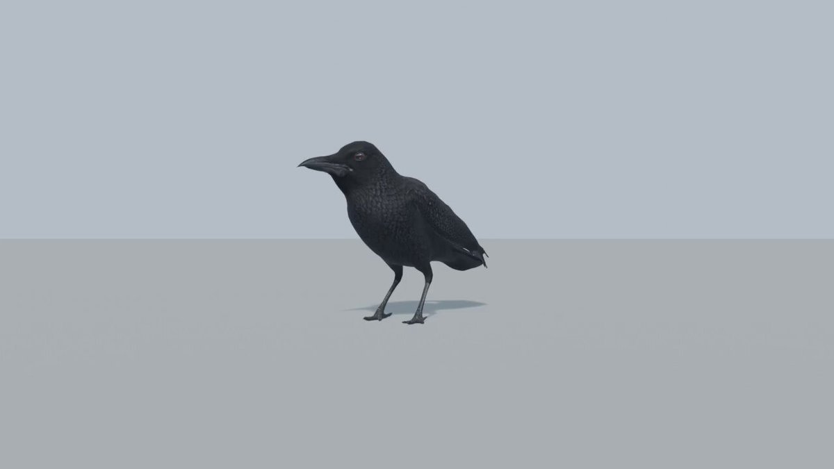 CROW