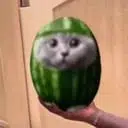 meloncat