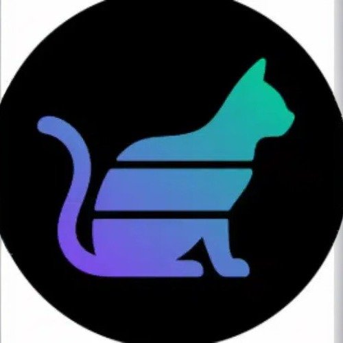 SOLCAT — Solcat Solana token traded by KOLs
