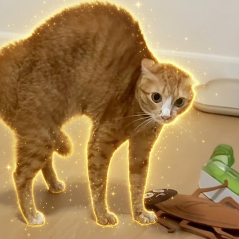 Fuku
