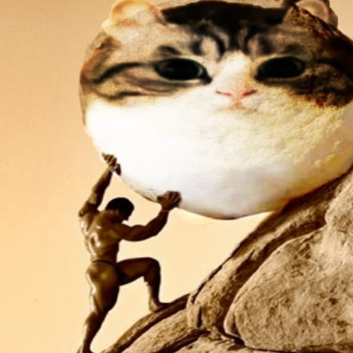 sisypuss