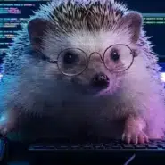 Hedge