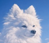 cloudy