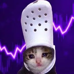 CrocsCat