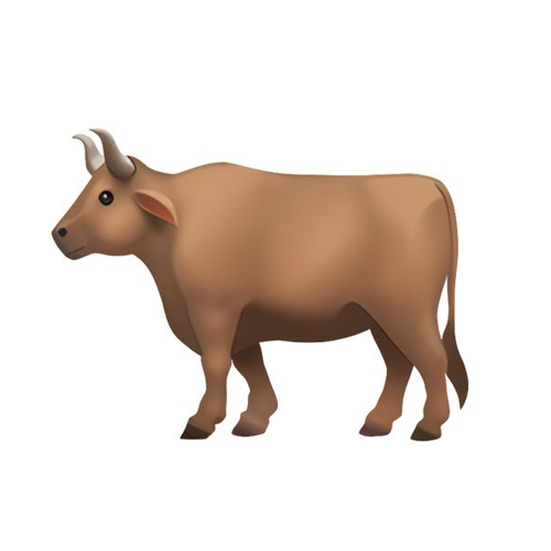 bull