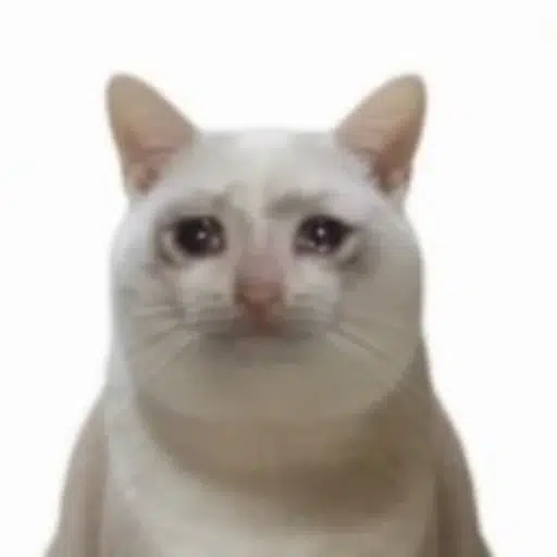 POORCAT