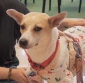 Mama