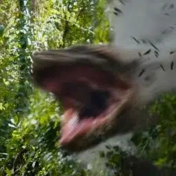 BOIÚNA