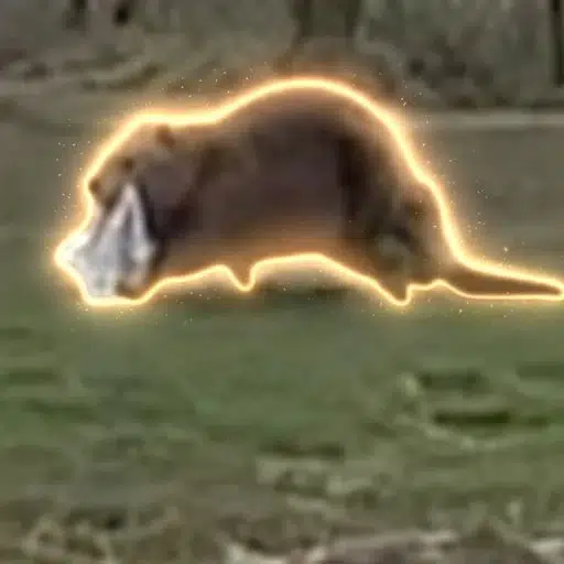 Szogun